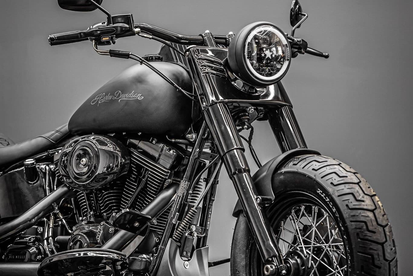 Softail Custom Detail 2